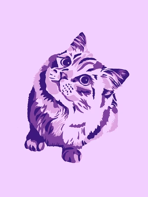 Item #86286569011672249143581902672238150923937334210812916089856769971248733093889 Media