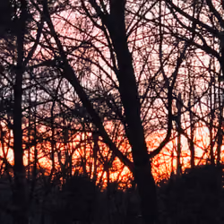Reflections 018