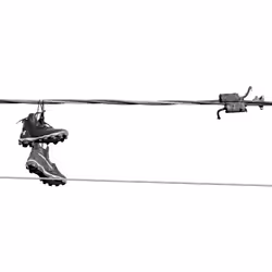 44231692163325033527706634296024509461007343983716307526579858989036609732609