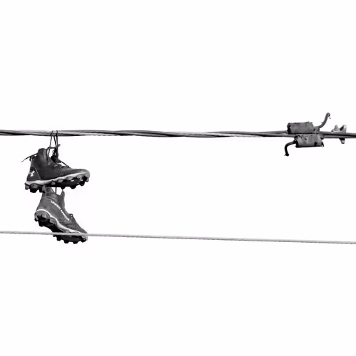 44231692163325033527706634296024509461007343983716307526579858989036609732609