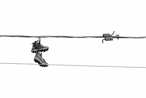 Item #44231692163325033527706634296024509461007343983716307526579858989036609732609 Media