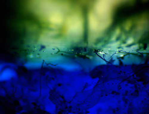 Item #71646257518770613568983710813551014237803002136866425209291834560656726556673 Media