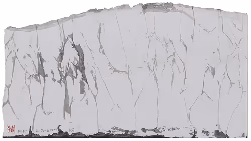 Item #32821849708373674148182076394495380030528320465689017740962286123965724229633 Media