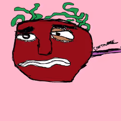 DAY 7
