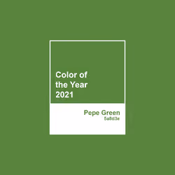Color of the Year 2021 
