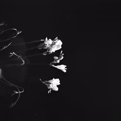 me without you