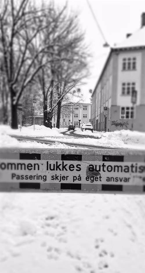 Item #93053345954396449184125693441989771853950921288224263024317593479197073866753 Media