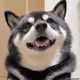 6419649619378543771155028847592637555375526734263820029780823683030746923009