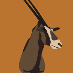 Ungulate 49