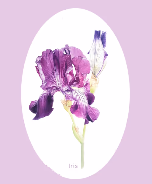 Item #113489034304621262780688231826605953110850630037048369512317058335983802515459 Media