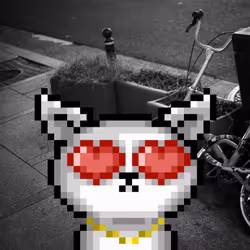 63170767654901927964852848505921354456488158057017135715885673693975674880001