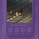 15641881459821155624958692497398743960212943289979505792087970015079443726337