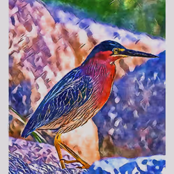 55704534837685659622621715309832868758345944585427688586690141402569715482625