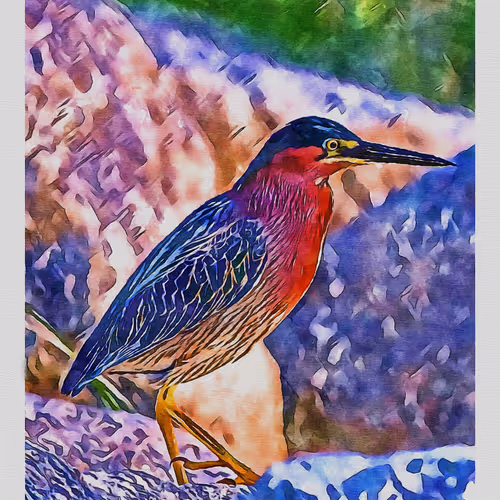 55704534837685659622621715309832868758345944585427688586690141402569715482625