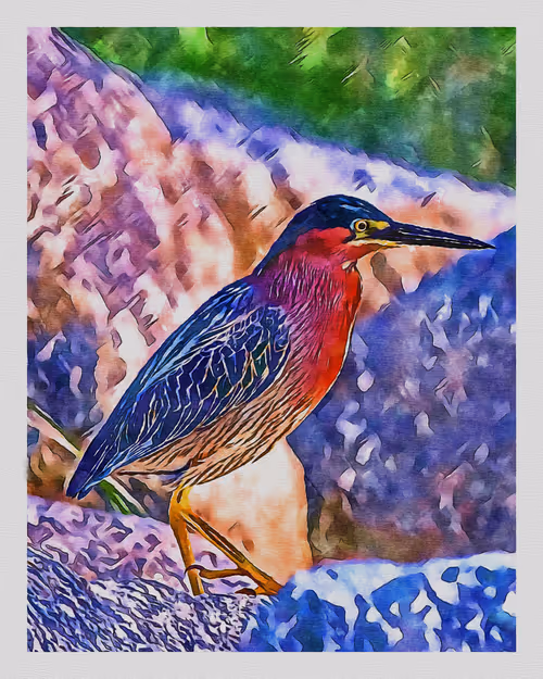 Item #55704534837685659622621715309832868758345944585427688586690141402569715482625 Media