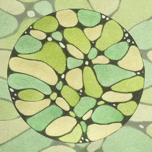 Item #9922773586447412206396864924373629653253916973807141878128061837893307465729 Media