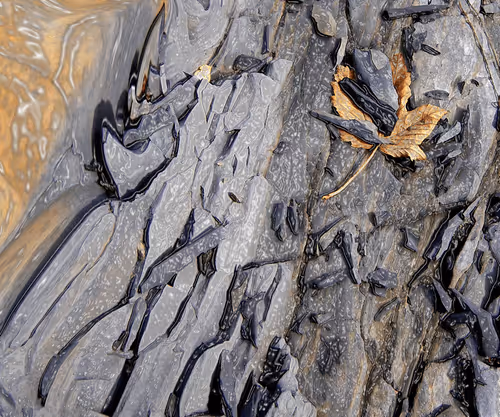 Item #108090653170621964456645493728269851346896231222605963189308647627496380956673 Media