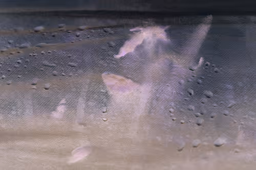 Item #40278163781146387807919824223492945877750948775305722317404596996498211733505 Media