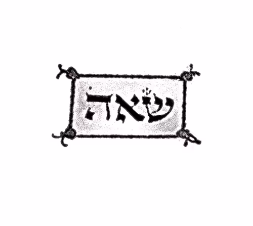 Item #76914563957710773876863111646050240319944883664087654322857875515109462245377 Media