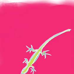 Lizards