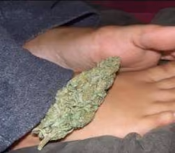 Bud by feet circa 2008