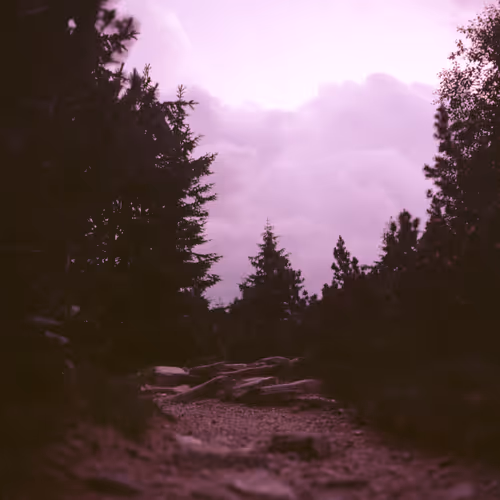 Item #30121090533068634730460792685537461567950127940617948076373458102460147040257 Media