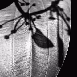 light and shap#10