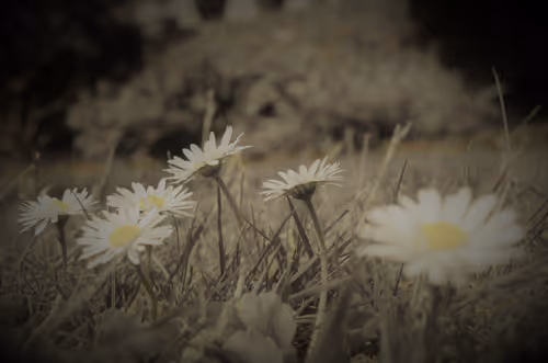 Item #14113791335687528049524506811384605239875640651691872103810466395516993273857 Media