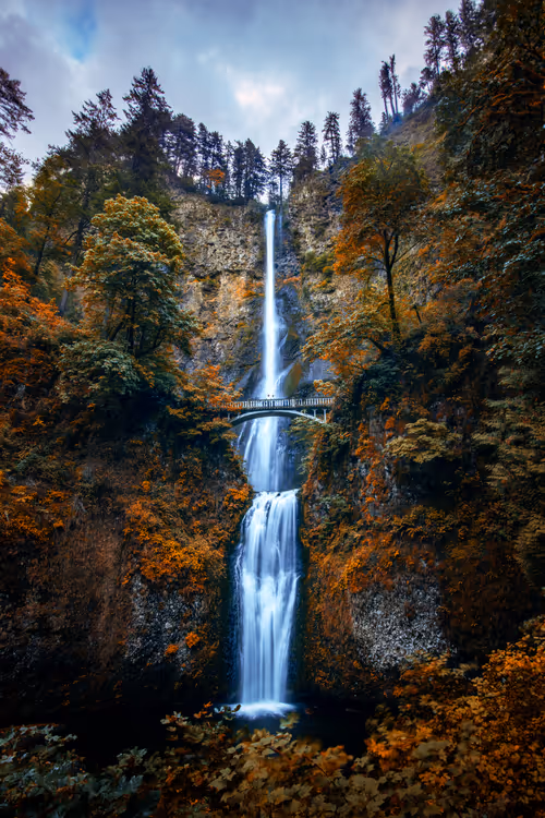 Item #28249669150142615207579555762608265536132247185199409993543532459665297244161 Media