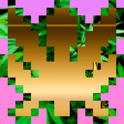 Pink Gold weed #012