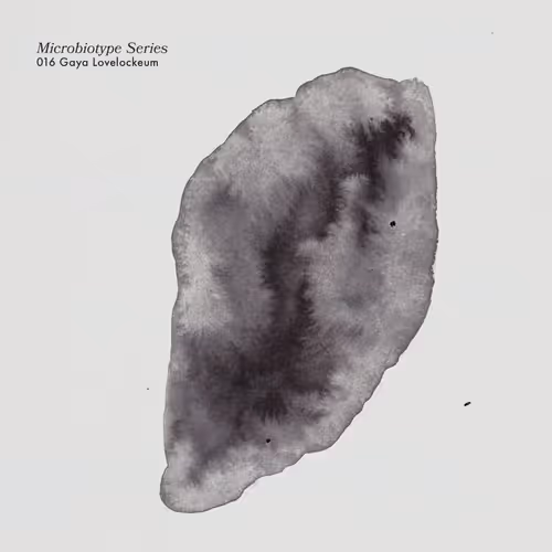 Item #20537471166803336483697920459392139182541277411208615206121837237198041120769 Media