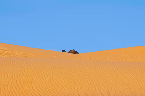 Item #12333759371985289416686528618250941787801478820548931806244366491034251689985 Media