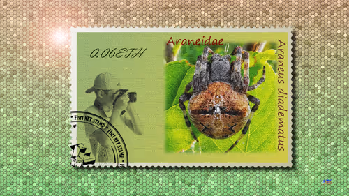 Item #105973246943151987345213410235211569025683575939462317992466355578971585773569 Media