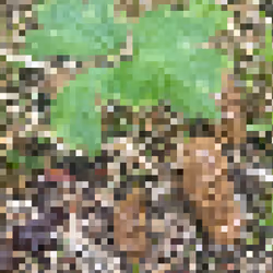 2850415134272365380187775685678842410458265265709128331682257531564537675777