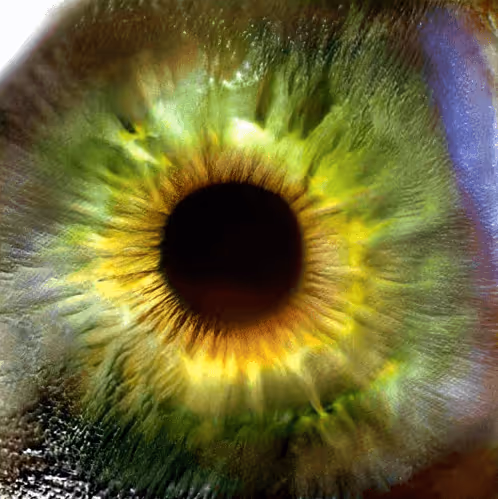 Item #73500473601639277492783536232978387069951164458626547516930003828947661357057 Media