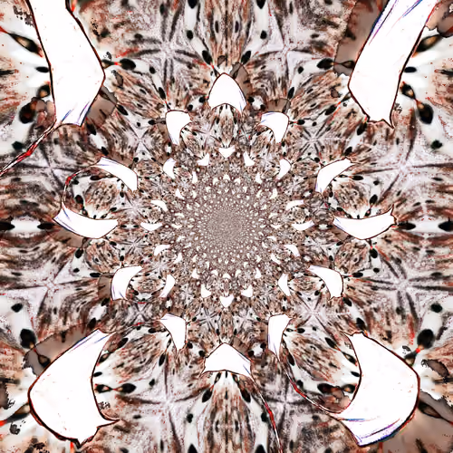 7830435216804711793590960307995188566663072641950675379650414420817560469505