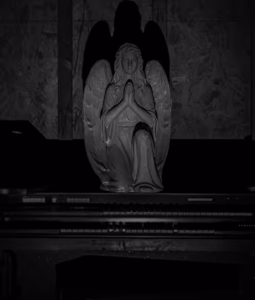 Item #82183435787039742687817407369025087190302189840279601090903984556142934097921 Media