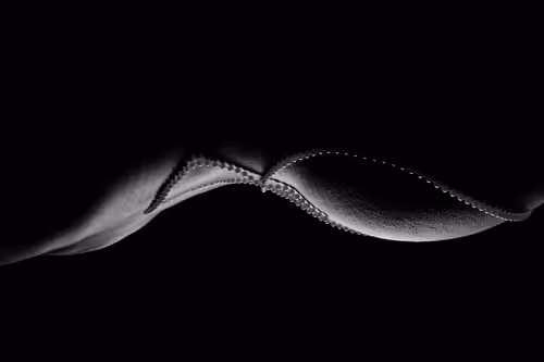 Item #6019087958379867784353265046247519431511831343750573134531612446352534929409 Media