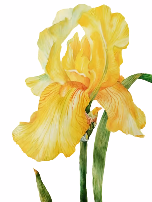 Item #107725884450228236014973938527393161601978279092046824683445385248293599051777 Media