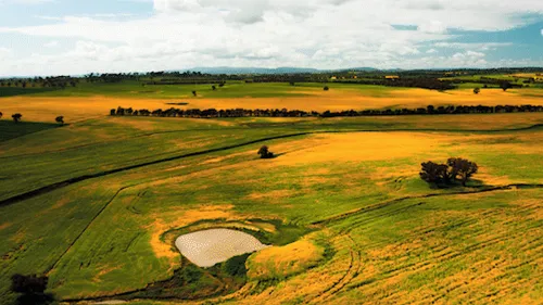 Item #73762504299456065935515086849783523685959452492976107684426143746348449529857 Media