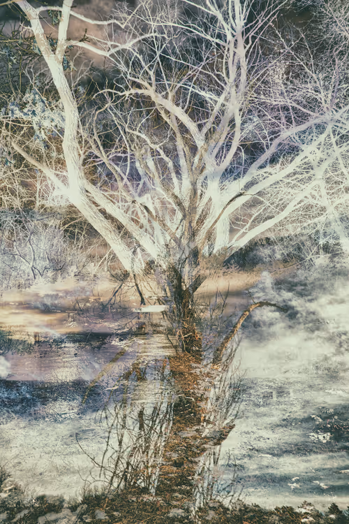 Item #43070642994582151386358674044565282189823590149162061953262107343170605940737 Media