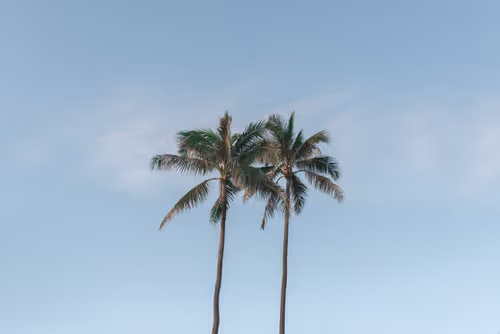 Item #78064220502355505726869985793984720926867023015257308531581829157102947401729 Media