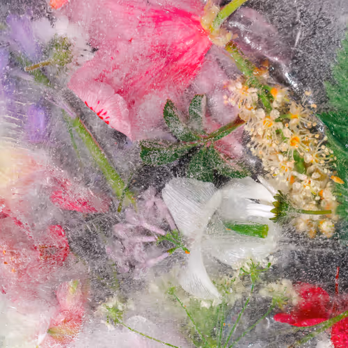 Item #80829721372825377784010953381890255518558028243098186913878117614614478848001 Media