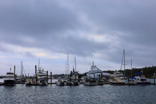 Item #19684374529110288056520570276703370007863893692966726326193838128389022547969 Media