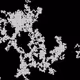46443140435526123263349023868976142915031731050544552291035459364917425995777