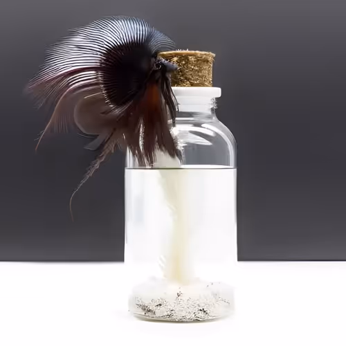 Item #16773130033193857086017439881678967657161459487205602915967705779227708096513 Media