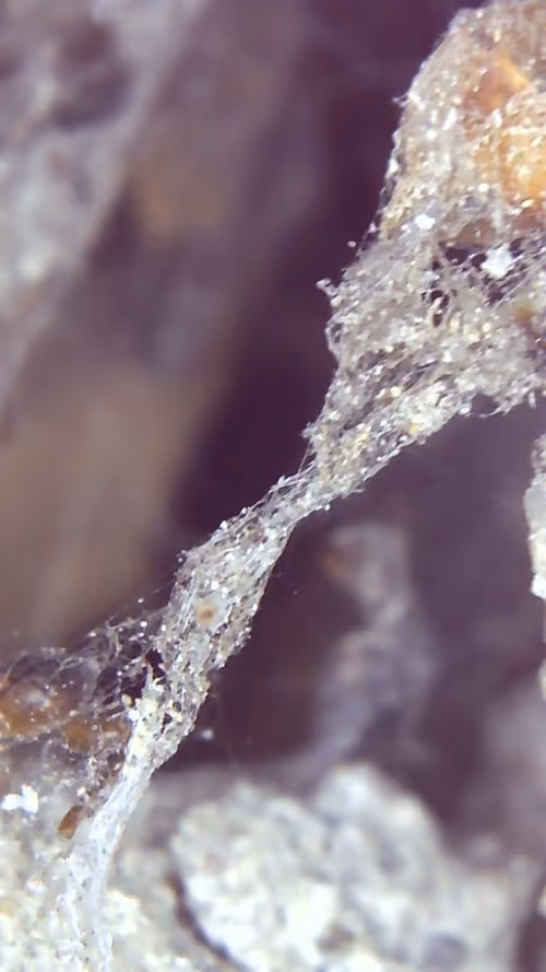 Item #26658692853047594662684063584859351739740990353533291936945253096589447135233 Media