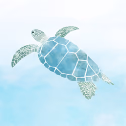 sea turtle