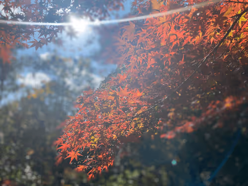 Untitled Collection #444965586 - old