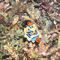 80965803268169370603932631570667161375508893671094224909166964116117319057409